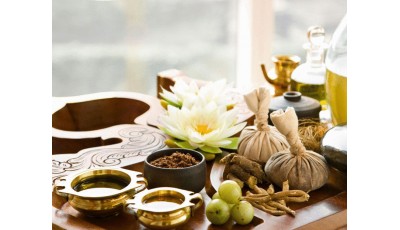 Ayurveda in need of modern synthesis